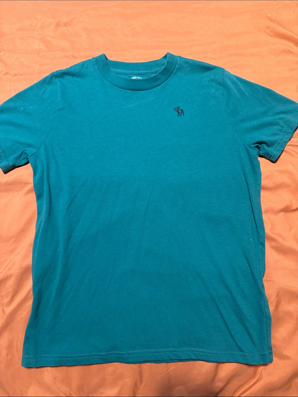 abercrombie kids Teal Short-Sleeve Crewneck Tee